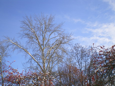 c0124619_4475668.jpg