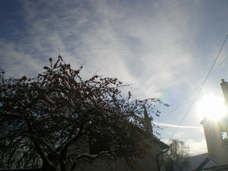 c0124619_4482390.jpg