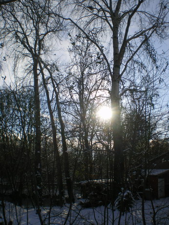 c0124619_4491628.jpg
