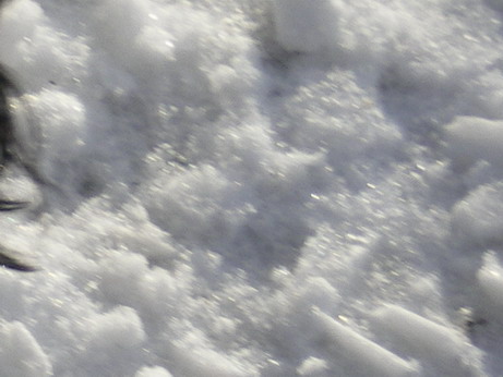 c0124619_4532712.jpg