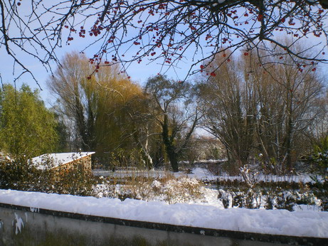 c0124619_4555853.jpg