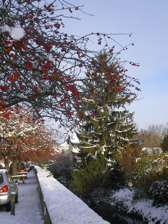 c0124619_4565290.jpg