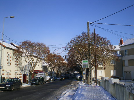 c0124619_501413.jpg
