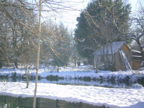 c0124619_510276.jpg