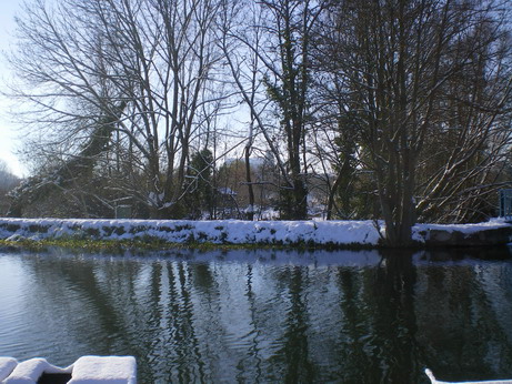 c0124619_512335.jpg