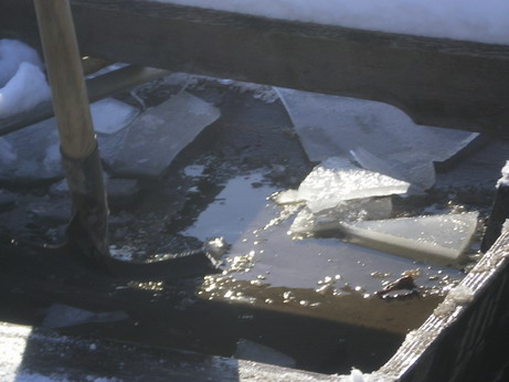c0124619_512960.jpg