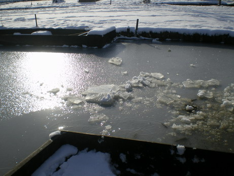 c0124619_5141093.jpg