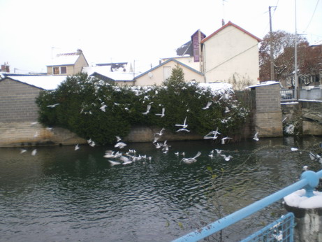 c0124619_5201121.jpg