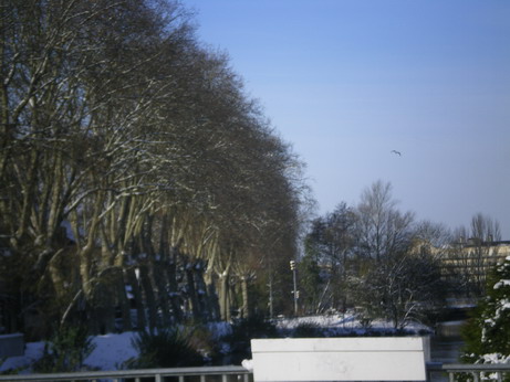 c0124619_521923.jpg