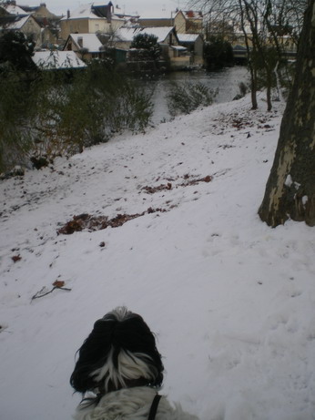 c0124619_5222336.jpg