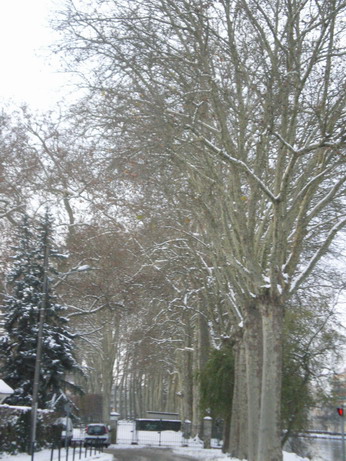 c0124619_5225041.jpg