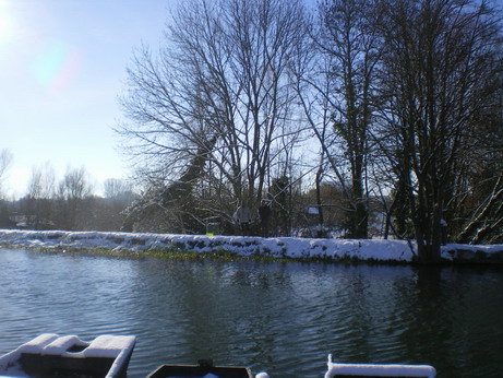 c0124619_54082.jpg