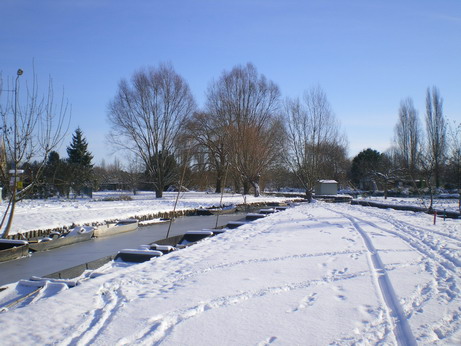 c0124619_542919.jpg