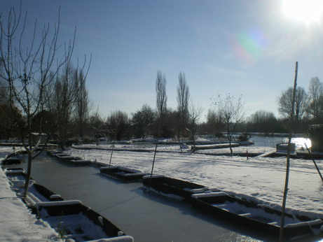 c0124619_553055.jpg