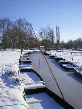 c0124619_55522.jpg