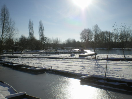 c0124619_58158.jpg