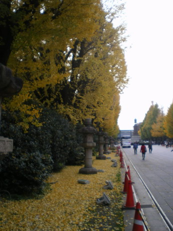 c0124619_70541.jpg
