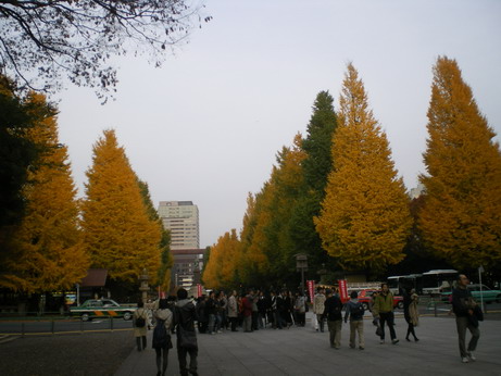 東京“二大タワー”とたくさんの橋めぐり_c0124619_7389.jpg