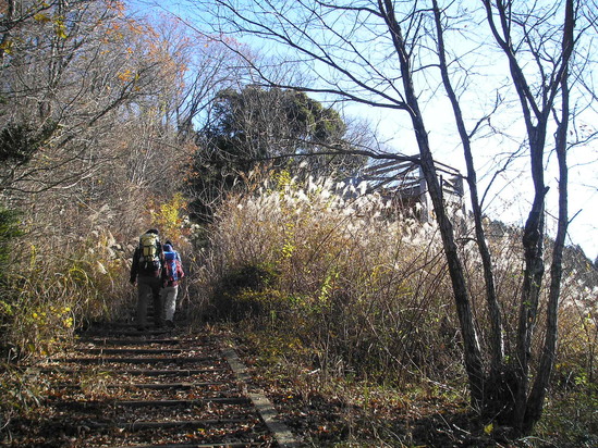 a0048823_18552159.jpg