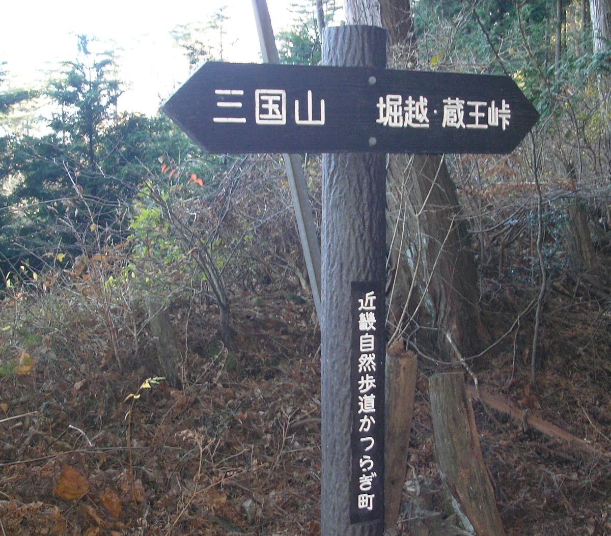 a0048823_19355296.jpg