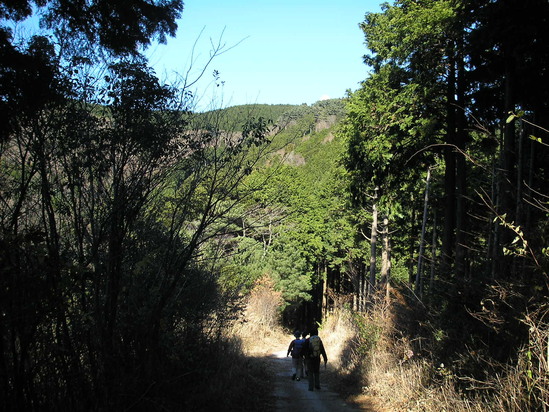 a0048823_19461078.jpg