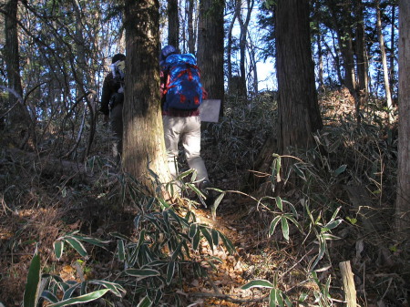 a0048823_2015260.jpg