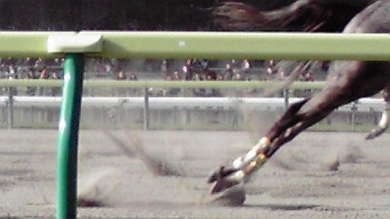 「競馬」から「ケ・イ・バ」へ！_a0144626_746854.jpg