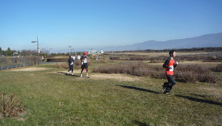 d0004426_20311075.gif