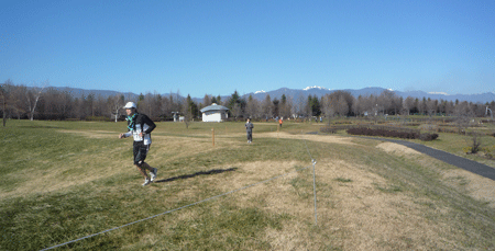 d0004426_20372337.gif