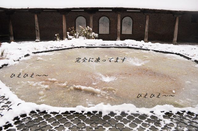 大根の葉と牛肉のぴりり佃煮風_d0104926_1244758.jpg