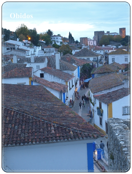 c0176527_9591419.jpg