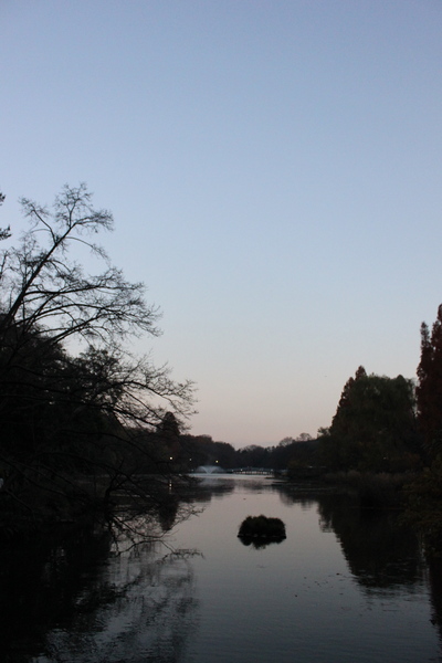 井の頭公園。_d0195731_2244248.jpg