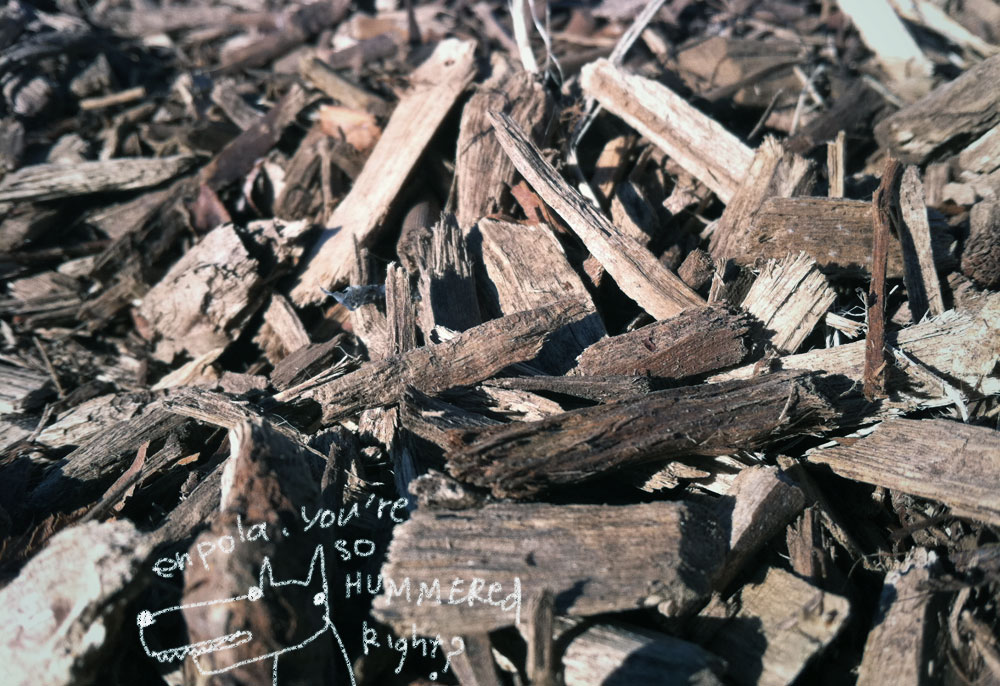 e0199431_22473434.jpg