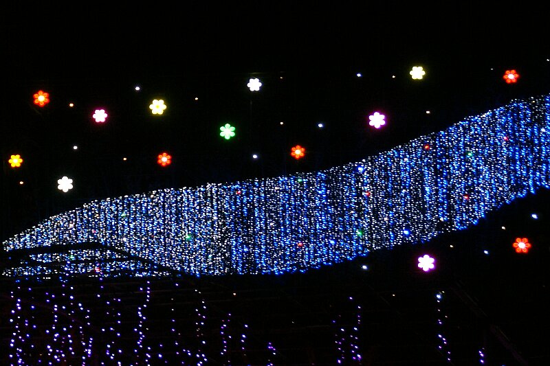 a0122932_135075.jpg