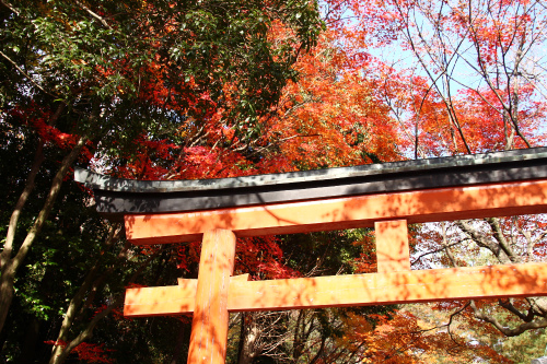 金戒光明寺・吉田山・大文字山そして龍馬の散った街_d0055236_18380.jpg