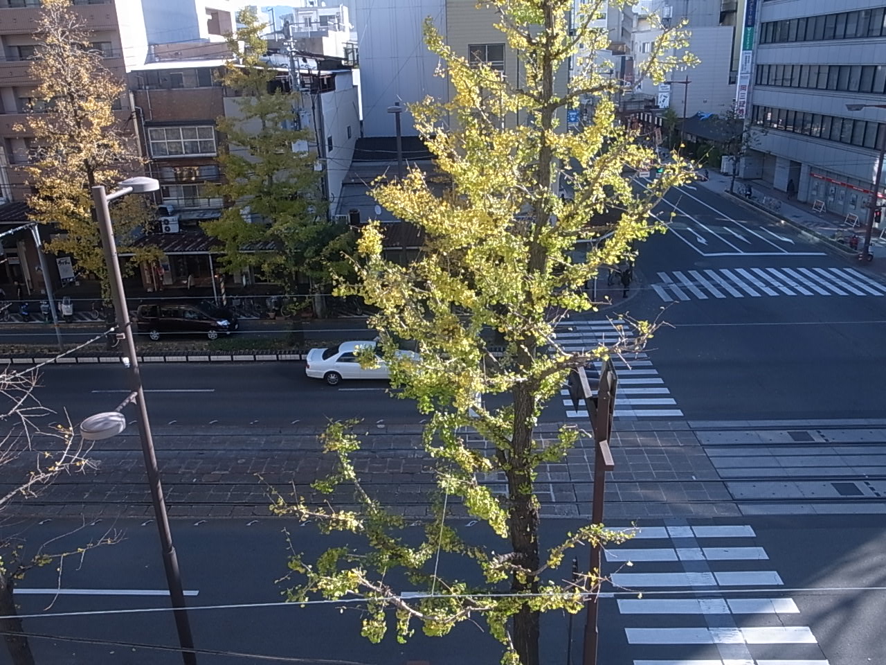 e0145437_9591799.jpg