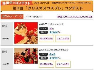 うちの子にかぎって猫 のぇるろった編。_a0143140_182823.jpg