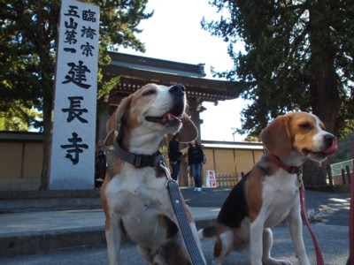 c0119142_42633.jpg