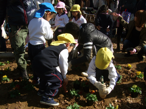 シャルトル公園の花植え_f0155843_22543735.jpg