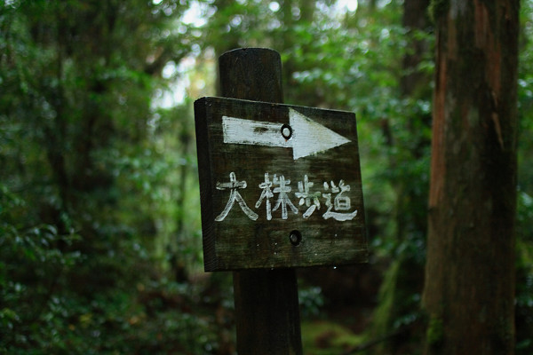 YAKUSHIMA TREKKING vol.2 ~mountain huts traverse trek 4days~_c0228945_14305190.jpg