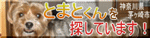 d0013149_18242133.gif