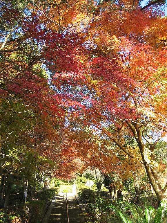 七面山妙光寺（12/4）_e0026054_10445293.jpg