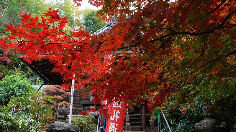 錦秋の都路２０１０ (山科 天台宗 毘沙門堂門跡塔頭 双林院（山科聖天）の紅葉) (2010年12月06日)_c0119555_2275430.jpg