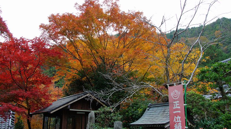 錦秋の都路２０１０ (山科 天台宗 毘沙門堂門跡塔頭 双林院（山科聖天）の紅葉) (2010年12月06日)_c0119555_2281511.jpg