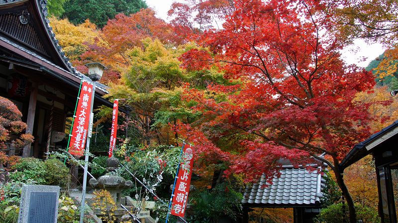 錦秋の都路２０１０ (山科 天台宗 毘沙門堂門跡塔頭 双林院（山科聖天）の紅葉) (2010年12月06日)_c0119555_228165.jpg