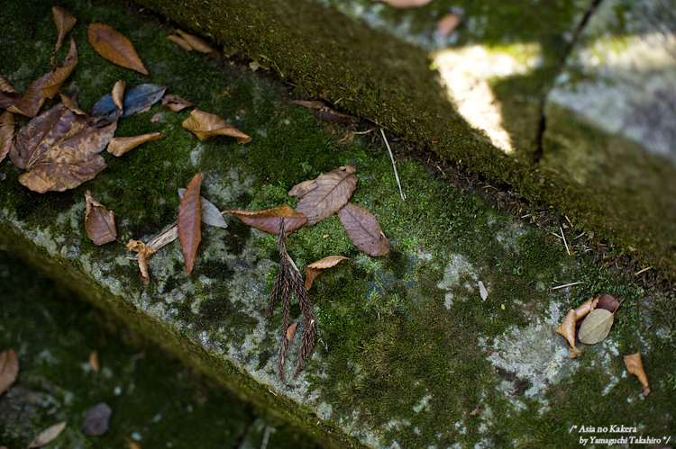 d0080957_2393775.jpg