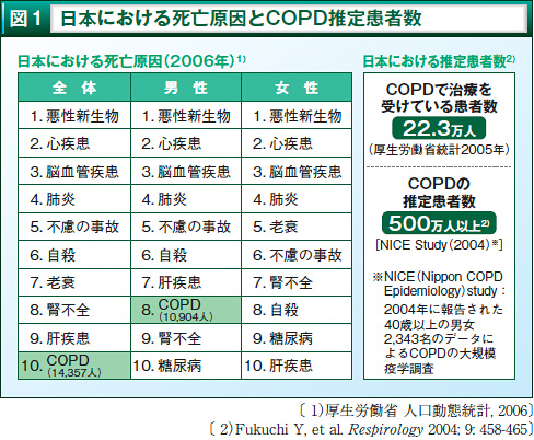 Copd診断率の向上を目指して 井蛙内科開業医 診療録 ４