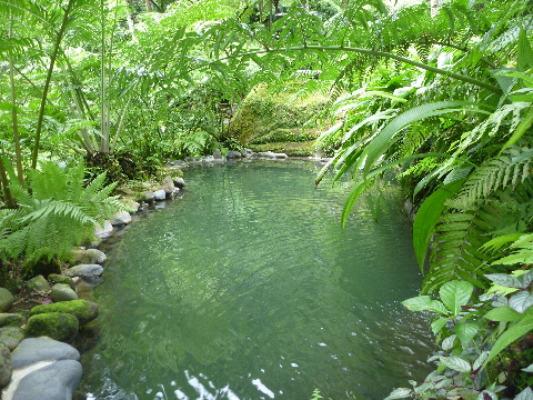 Natural Spring Pool@COMO Shambhala Estate_c0192962_1392382.jpg