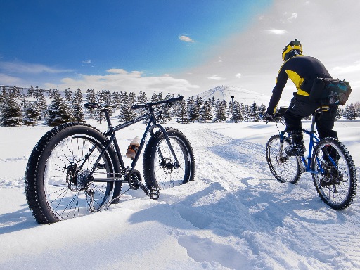 ”雪道” 自転車ツアー 2010’_d0197762_1644764.jpg