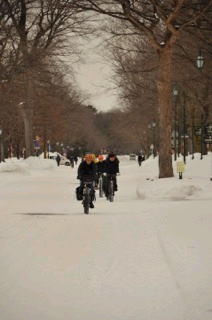 ”雪道” 自転車ツアー 2010’_d0197762_1692418.jpg